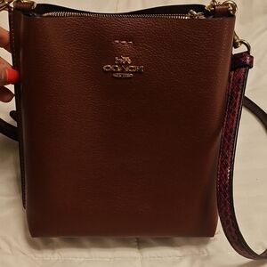 Coach Brown Leather Crossbody Bag with Minimalist Design
